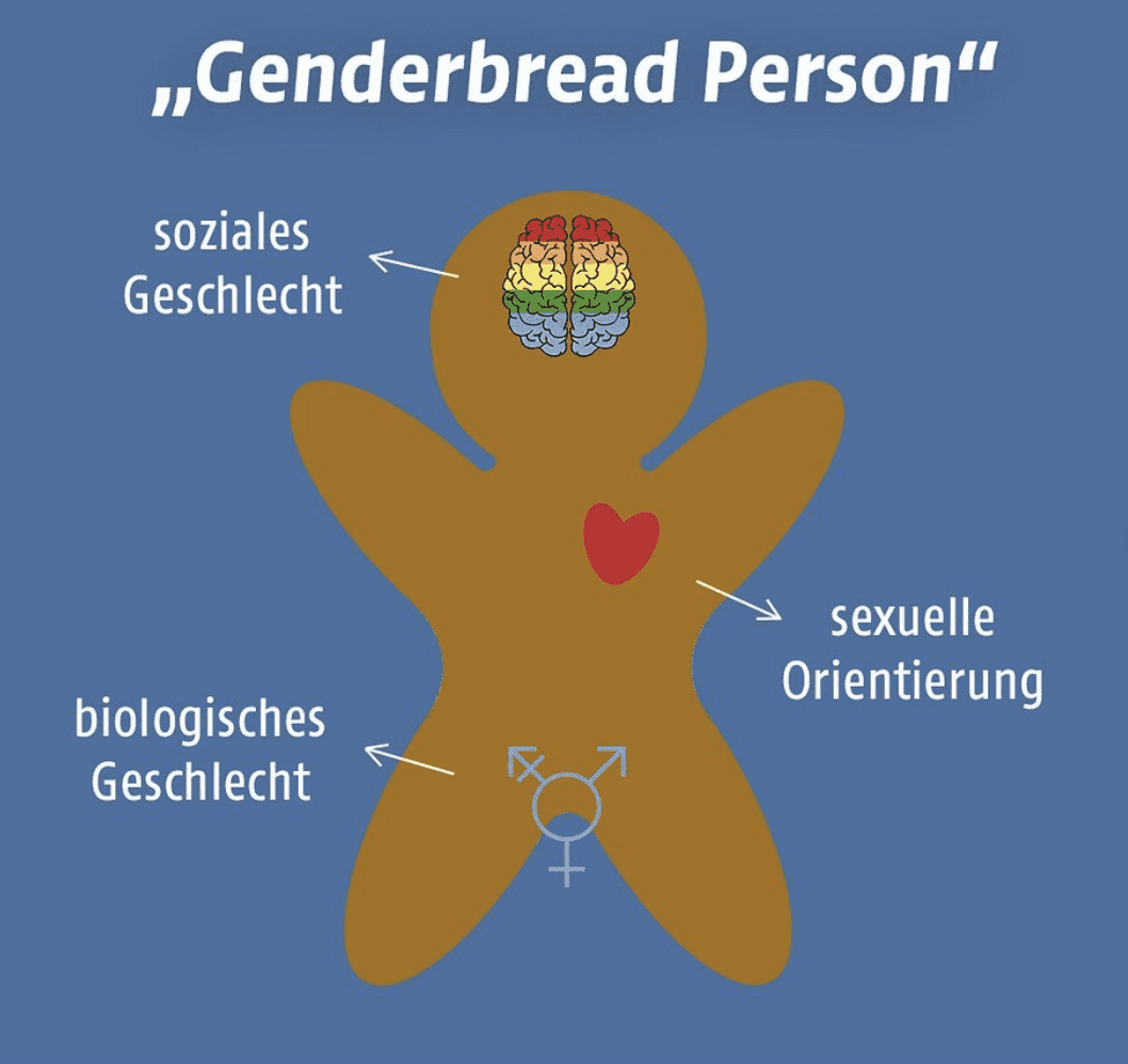 Geschlechtsidentität Und Sexuelle Orientierung